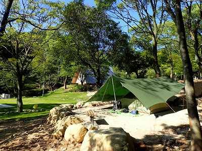 🌳 한 그루 소나무 공원 (잇폰마츠 코엔) 이미지 1